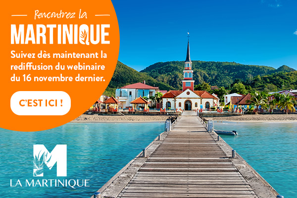 CMT2107001 WebinaireProfessionVoyages Eblast Rediffusion 600x400 16 Nov